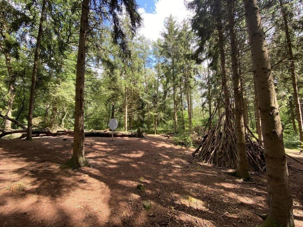Ferienhaus Seeblick Am Harkebruegger See Mit Sauna Und Kamin Barssel  Kültér fotó